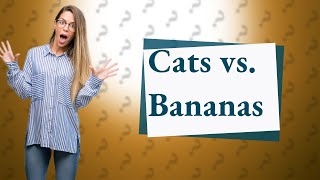 Why are cats scared of cucumbers and bananas all [upl. by Agnola]