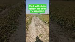 Mosh yulib yigish agregat pod zakaz automobile farming agriculture fargonamashinabozorinarxlari [upl. by Gilmer]