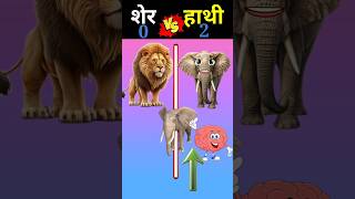 Lion vs Elephant ❓ शेर vs हाथी  shorts trending lionvselephant [upl. by Arrahs316]