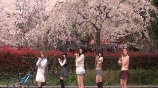 ℃ute 桜チラリで 『桜チラリ』 [upl. by Elletsirk]