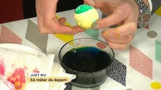 Så målar du vackraste äggen allt om färger pennor och tekniker  Nyhetsmorgon TV4 [upl. by Mayda]