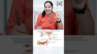 1 minute learning Rabis Pathogenesis  MedLive  Dr Priyanka Sachdev [upl. by Eido]