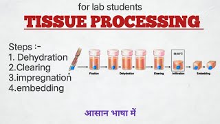 Tissue processing part 1   dehydration  Clearing  histology science laboratory paramedical [upl. by Barrett]