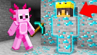 I Pranked My Friend With a SHAPESHIFT Mod in Minecraft [upl. by Jaymee607]