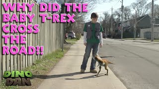 Why did the baby TRex cross the road  Best of Dino Dan Treks Adventures [upl. by Annaed]