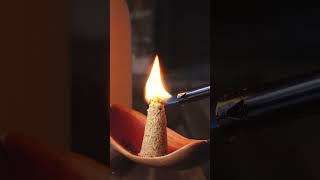 Making Incense out of Pinyon Pine Sawdust [upl. by Nner888]