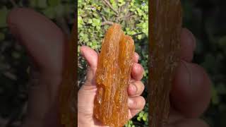 The Allegiance  Raw Amber amberstone amber naturalbeauty crystal crystaljewelry natural [upl. by Zoeller]