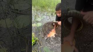 Amazing Best Polo Fishing video  Real Naturally Bill From Fishing video 2024  fish viralvideo [upl. by Ttenyl510]