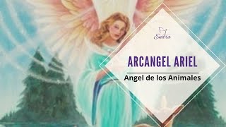 Arcangelina Ariel  Angeles de los Animales [upl. by Gayner]