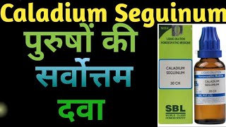 Caladium II Caladium Seguinum Homeopathic Medicine II Caladium 30 II Caladium Seguinum 30 in hindi [upl. by Kiraa]