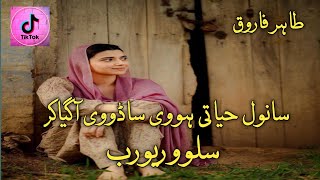 Sanwal Hayati Hovi Sado Vi Aa Gia Kar Slowed ReverbTahir Farooq Saraiki TikTok viral song [upl. by Particia]