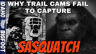 Why Dont Trail Cams Capture Bigfoot  Trail Cams amp Their Limitations  Ep19 [upl. by Coonan605]