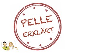 PELLE ERKLÄRT  das PPP [upl. by Chalmer]