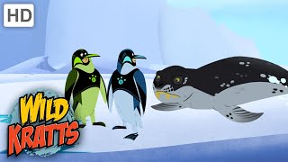 Wild Kratts  AMAZING Penguin Power Suits Animals [upl. by Fernandina56]