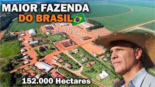 CONHEÇA A MAIOR FAZENDA DO BRASIL  Fazenda Roncador [upl. by Ranique]