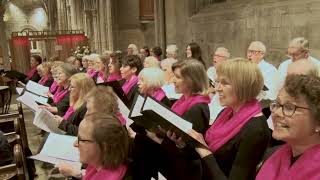 Zadok the Priest Handel [upl. by Akemit]