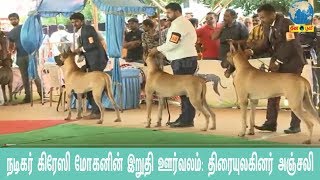 Coimbatore Dog show India 2019  கோவையில் நடைபெற்ற அகில இந்திய அளவிலான நாய்கள் கண்காட்சி [upl. by Barbabas]