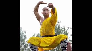 Shaolin Monk Training 🥋✨  Daily Routine shorts monk trending facts [upl. by Corder661]