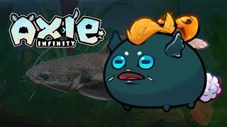 The Famous Catfish  Scarab Midline but TRUMP  Axie Infinity Classic [upl. by Nerha]