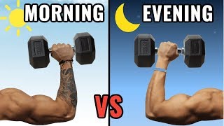 When is the Best Time to Workout to Build Muscle Morning vs Evening [upl. by Nap]