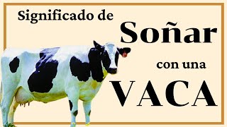 Soñar con una VACA Significado [upl. by Kissel977]