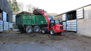 Schaffer 3550T SLT Loader Clearing Cattle Sheds [upl. by Enaujed]