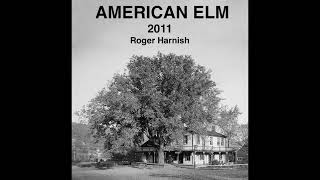 American Elm [upl. by Tarton]