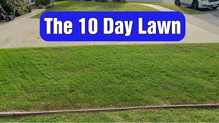 Grow A NEW LAWN From SCRATCH In 10 Days [upl. by Lewse]