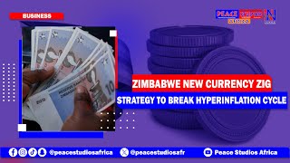 Zimbabwe New Currency Zig Strategy To Break Hyperinflation Cycle [upl. by Hubble890]