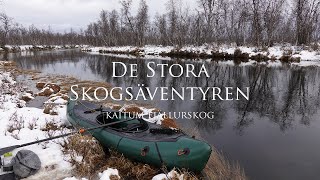 Vinterpaddling genom Kaitum Fjällurskog [upl. by Enyrat]