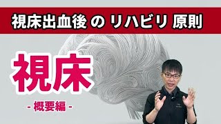 【☑︎これだけは知っておけ！】視床の機能 役割から視床出血後の回復原則 可塑性 代償システムまで。 [upl. by Ettennaej]