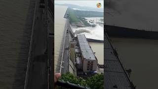 How electricity is generated from dam facts sciencefacts trendingreels facebookreels reelsviral [upl. by Elset]