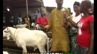 Cote dIvoire  la fete de Tabaski ou la fete du mouton ce vendredi 26 octobre 2012 [upl. by Niveb]