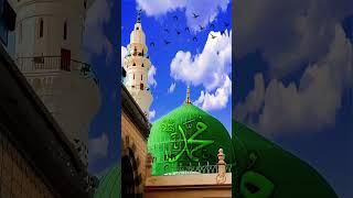 Phool khilte hai pdh pdh kr sallealaislamicvideoyoutubeshortsdeenkiibatenaatshareef [upl. by Darnok]