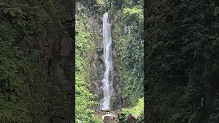 Dominica Trafalgar Falls part 2 [upl. by Hairakcaz]