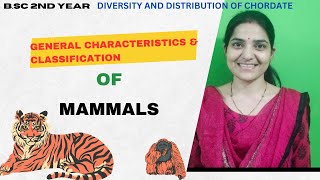 General Characteristics And Classifications of class Mammalia BSc 2nd Yearmammalia [upl. by Nit]