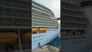 ROYAL CARIBBEAN FREEDOM OTS cruise cruiseship yt ytshort shorts short shortvideo travel [upl. by Venditti93]