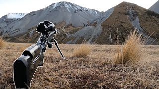 Traversing 60kms Over Mountains For One Crazy Shot  Tahr Hunting Public Land NZ [upl. by Tila]