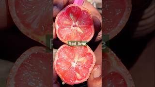 Red lime taste review garden shorts viralvideo [upl. by Natrav939]