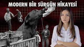 MODERN BİR SÜRGÜN HİKAYESİ [upl. by Eirelav]