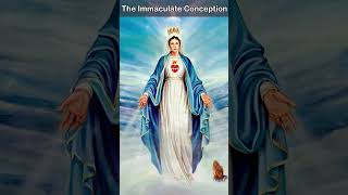 Prayer to The Immaculate Conception 🌹✨  Seeking Purity and Grace [upl. by Melisenda661]