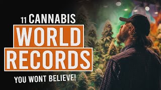 11 Cannabis World Records You Won’t Believe [upl. by Alasdair]