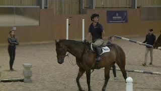 Harry Meade and Laura Collett Masterclass at World Horse Welfare  Part 2 with Q and A [upl. by Lucretia]