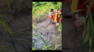 deep hole fish trap 😲bushcraft camping viralshort shorts [upl. by Mellar]