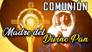 MADRE DEL DIVINO PAN  MADRE DE LA EUCARISTÍA  CANTO DE COMUNIÓN  P ANHIBAL REYES [upl. by Wasserman898]