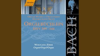 O Mensch bewein dein Sunde gross BWV 622 [upl. by Janeczka]