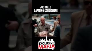 Rare Footage Gambino Consigliere Joe N Gallo organizedcrime mobsters [upl. by Danelle624]