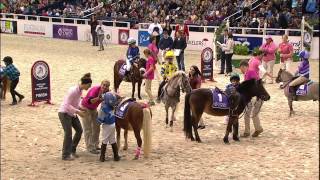 WIHS Shetland Pony Steeplechase Race 2 Thursday Oct 23 2014 [upl. by Nai727]