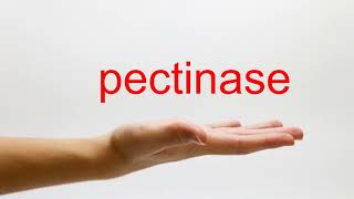 How to Pronounce pectinase  American English [upl. by Mateusz]