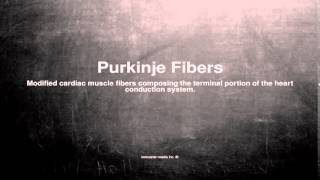 Medical vocabulary What does Purkinje Fibers mean [upl. by Olds337]